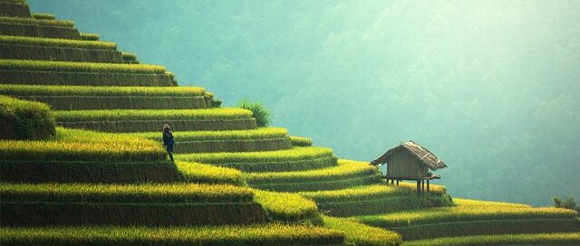 Bali Travel Tips
