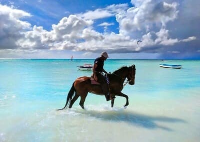 Horseback Riding Turks and Caicos