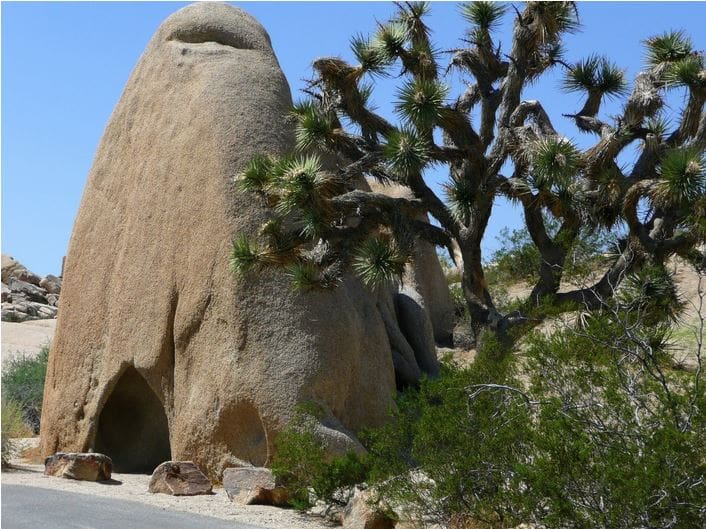 Joshua Tree National Park