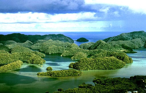 Palau Sustainable Travel Tips