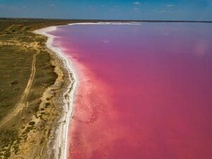Hutt Lagoon - Pink Lake Australia