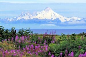 Alaska National Park Travel Tips