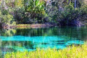 Florida Springs Travel Tips