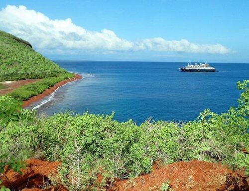 Guide to Finding The Best Cruise Tour the Galapagos Islands