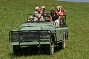 Africa Safari Tips
