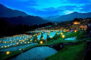 Rice Terraces Bali