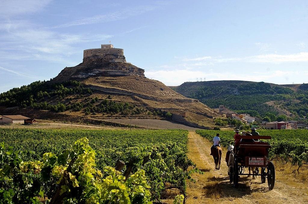 Duero Wine Region Spain