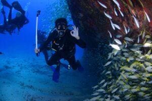 DIving in Hawaii