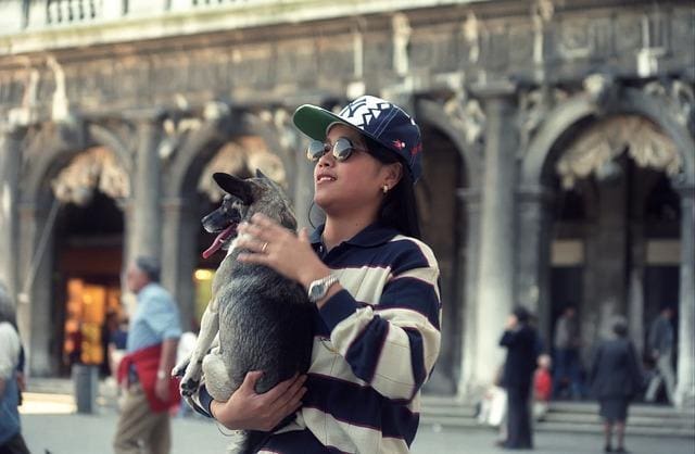 Traveling With Pets Italy