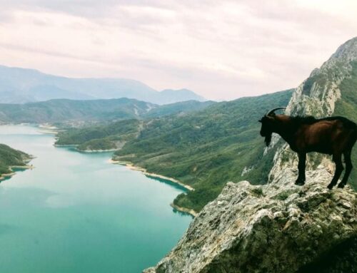 Top Reasons to Travel to Albania in 2023