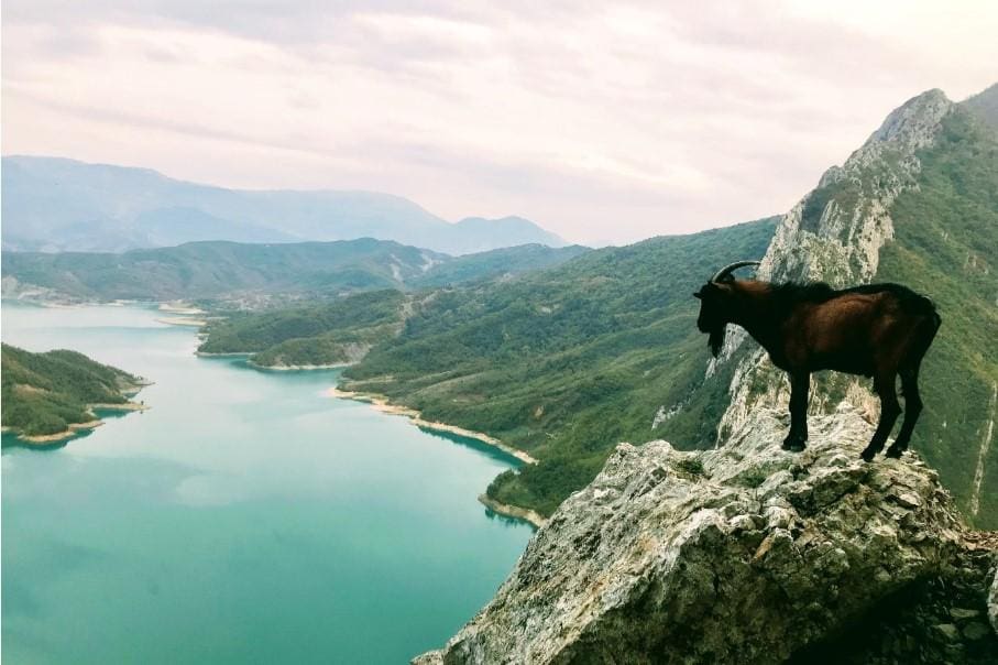 Albania Travel Tips