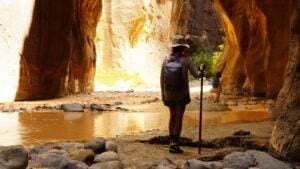 Narrows Trail Zion National Park