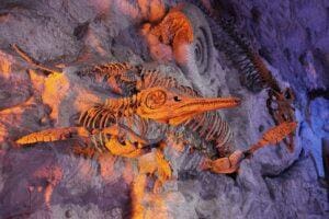 dinosaur fossil hunting