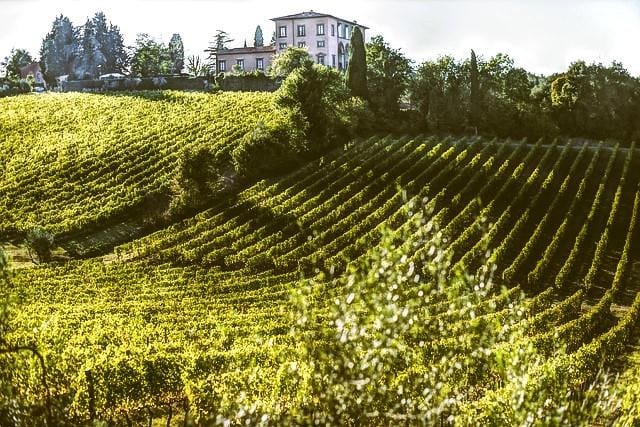Tuscany Vineyard Vacations