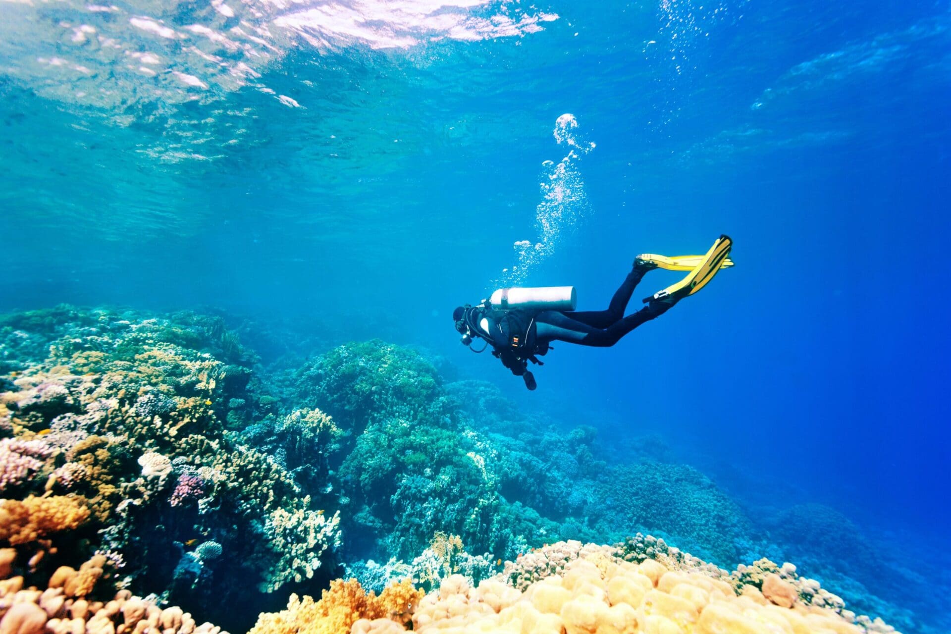 top scuba diving destinations