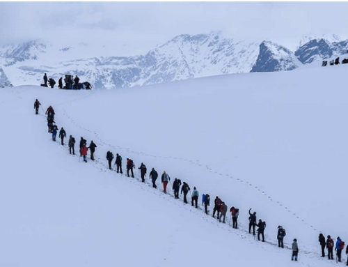 Sar Pass Trek: A Journey to the Heart of the Himalayas