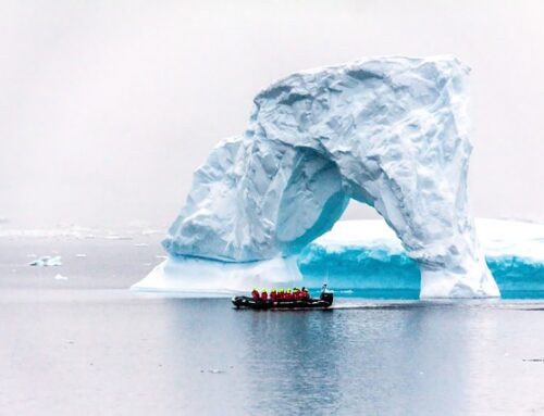 First-Timer’s Guide to Visiting Antarctica – Helpful Tips