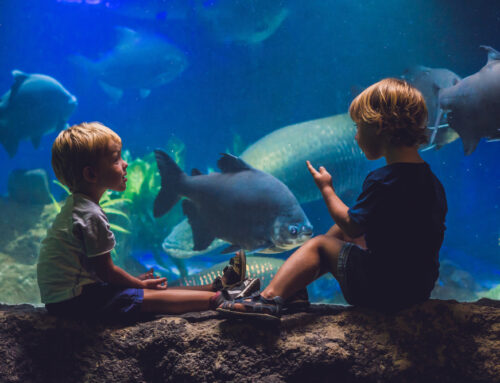 18 Family Sleepover Adventures at Museums, Aquariums and Zoos in USA