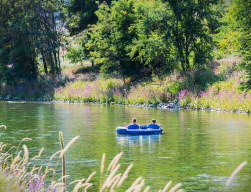 12 Family Friendly Spots For Lazy River Tubing in New England