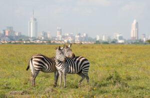 Nairobi National Park