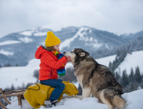 Top Family-Friendly Resorts in Alaska for an Unforgettable Family Vacation