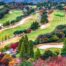 Fall Foliage Golf Course