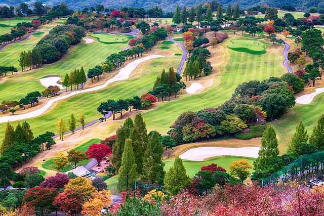 Fall Foliage Golf Course