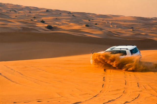 Dubai Desert Safari Tips