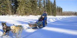 Alaska Dogsledding