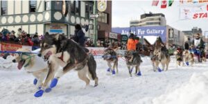 Alaska Iditarod