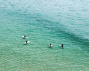 Family Surfing Beaches Los Angeles