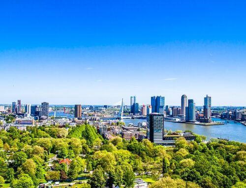 Rotterdam: A Guide to the City’s Best Activities