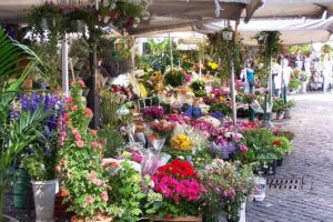 Campo de Fiori, pubic domain