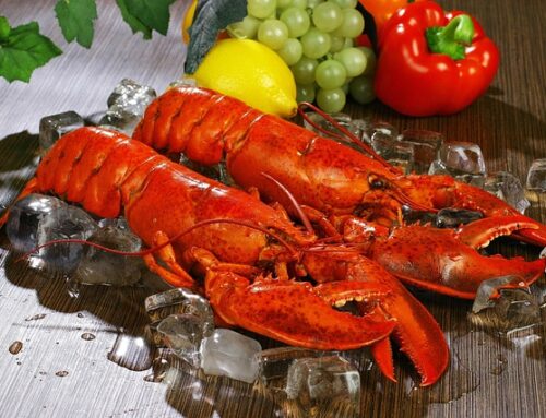 Bring The Tastes of Vacation Home: 7 Best Gourmet Seafood Delivery Services