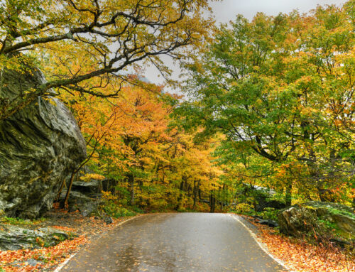 12 Best-Loved New England Fall Foliage Drives Featuring Waterfalls & Covered Bridges