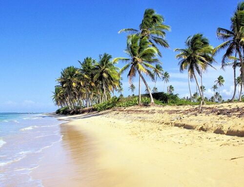 Best Things to Do in the Dominican Republic
