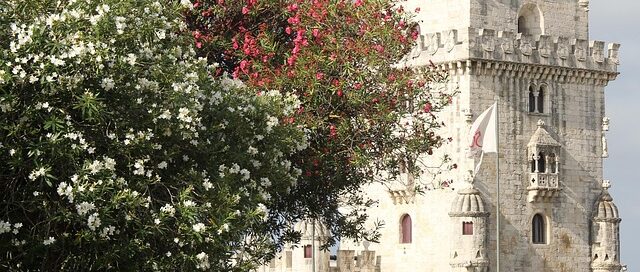 Tips For Lisbon First Time Visitors